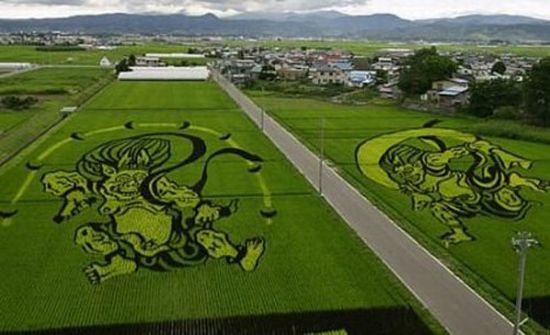 Выращивание риса в Японии