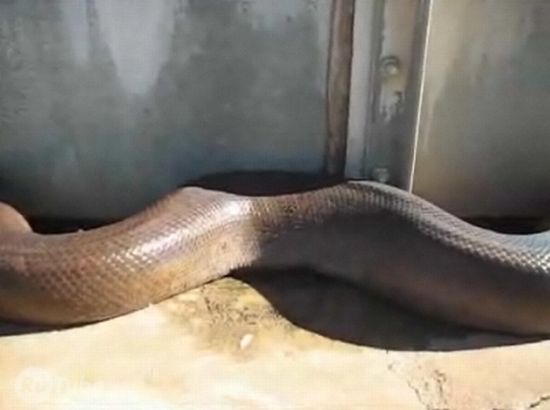 Ути-ути... Кто там такой? :)