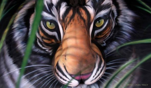 Как рисовали тигра