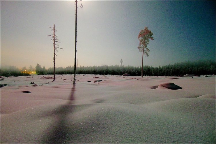 Зимний лес в Швеции