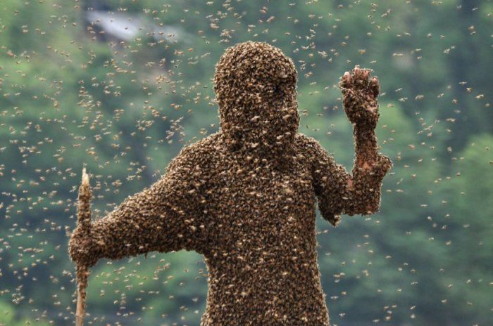 Человек-улей удержал на себе 26 кг пчел