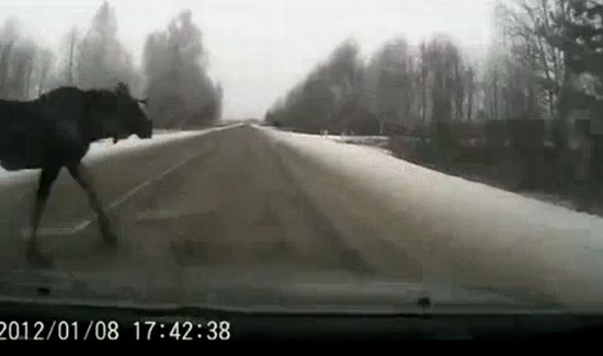 ���� �� ������