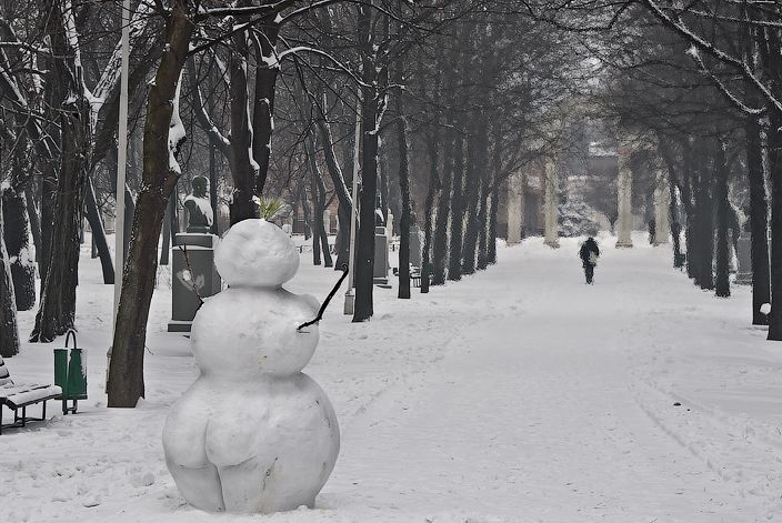 Фото приколы дня