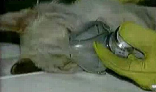 ��� ���� ����� � ������� ���� 
