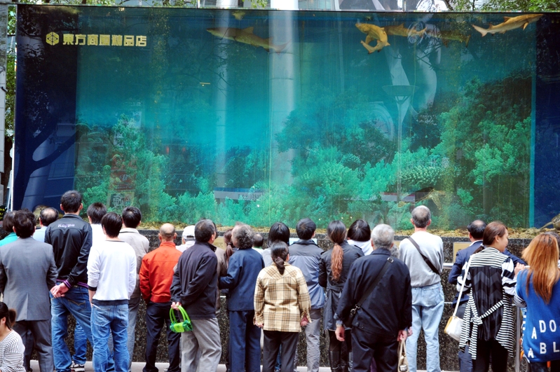 В китайском торговом центре лопнул гигантский аквариум