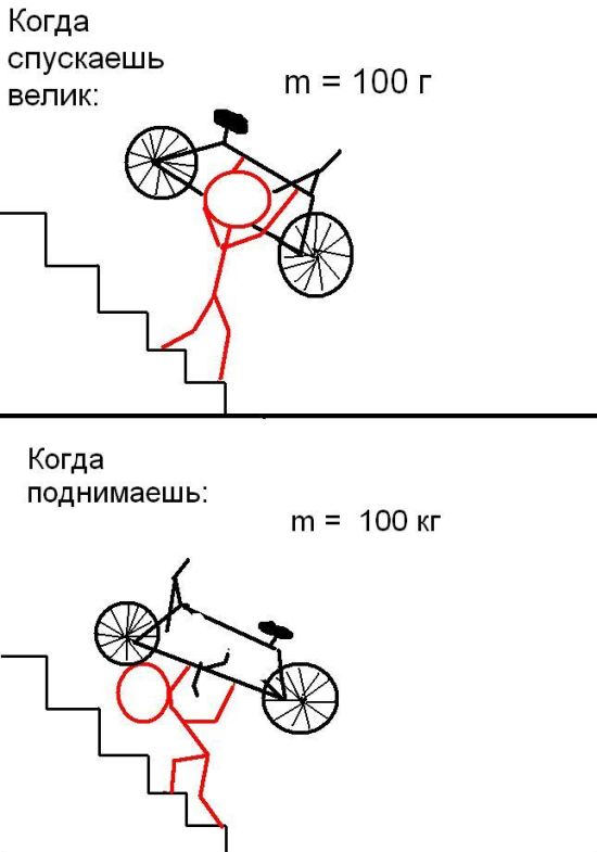 Фото приколы дня