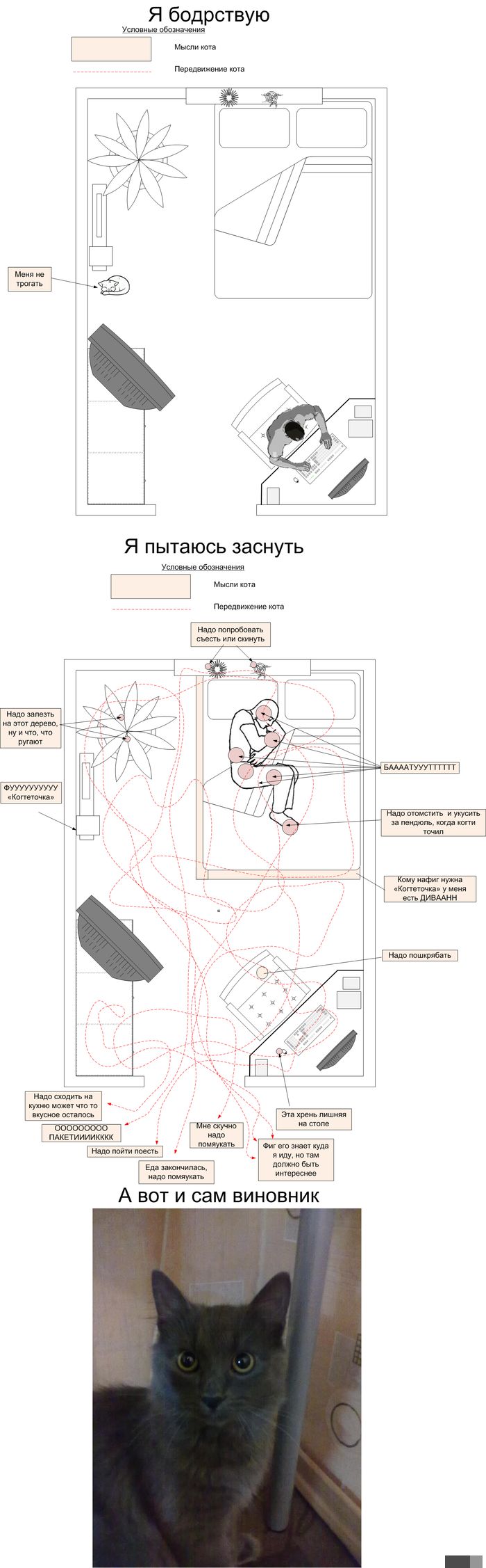 Фото приколы дня