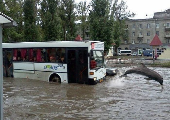 Фото приколы дня