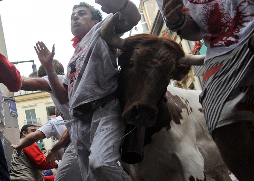 Забег быков в Памплоне снова закончился кровью