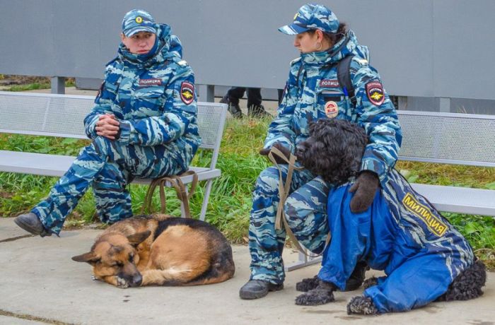 Фото приколы дня