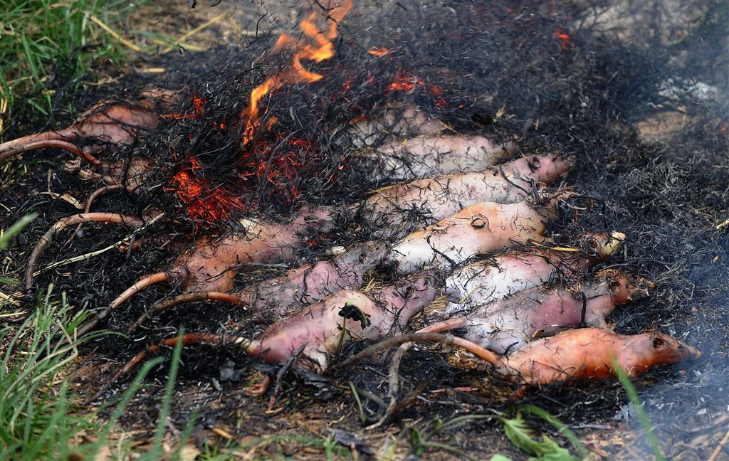 Мясо крыс в пище вьетнамцев