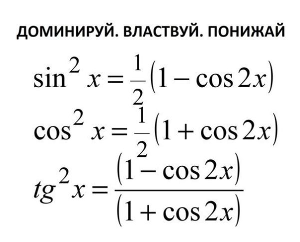 Фото приколы дня