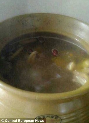 Китаянка выложила в сеть фото-рецепт приготовления супа из кошки