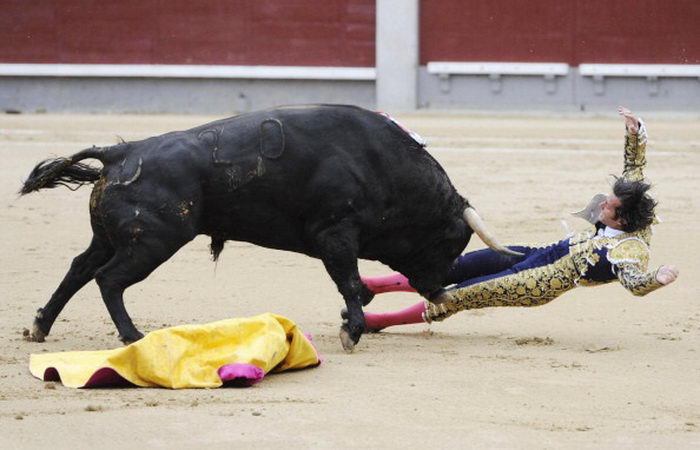 В Испании отменили корриду: быки забодали троих матадоров
