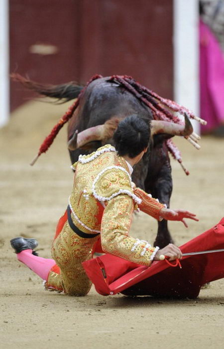 В Испании отменили корриду: быки забодали троих матадоров