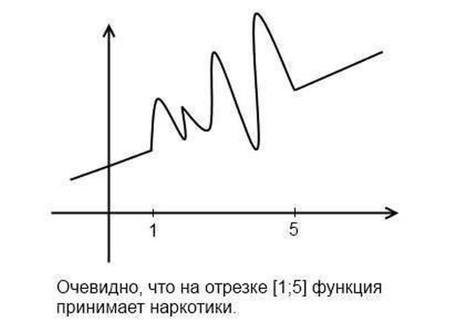 Фото приколы дня