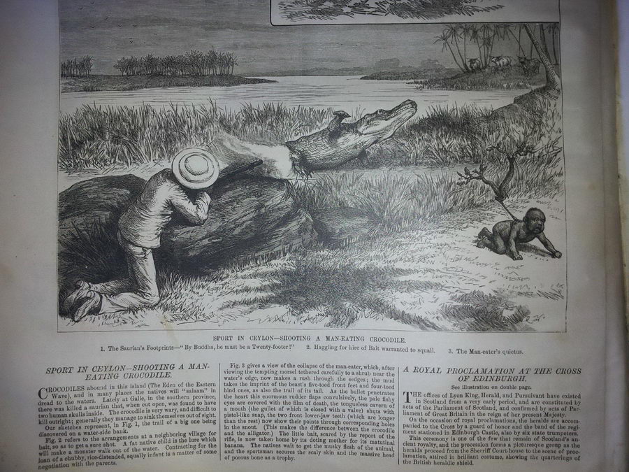 Как охотились на крокодилов в 19 веке