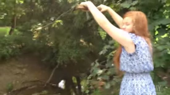 Свежие фейлы