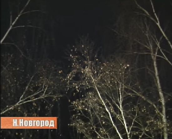 Спасение кота Барсика в Нижнем Новгороде Спасение кота Барсика в Нижнем Новгороде