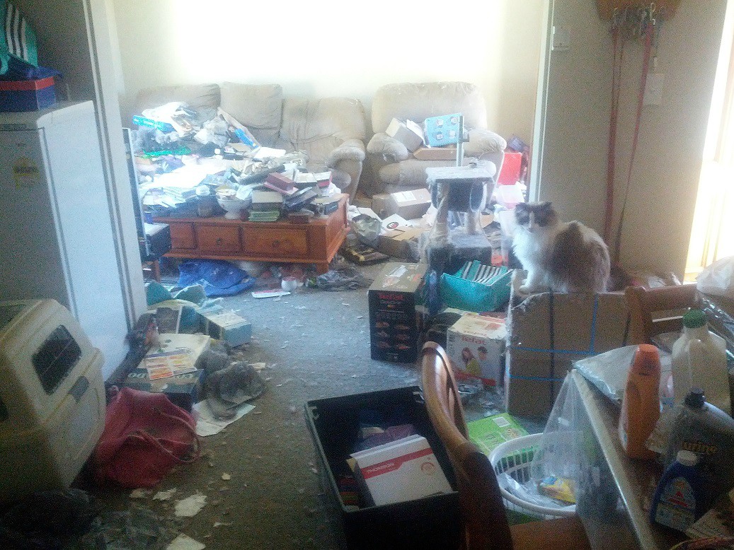 Женщина с котом снимала квартиру