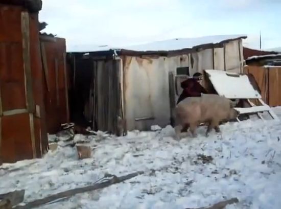 Деревенский ковбой