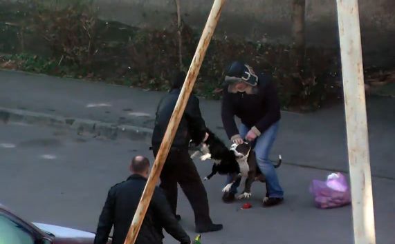 Да вы не бойтесь, она не кусается...