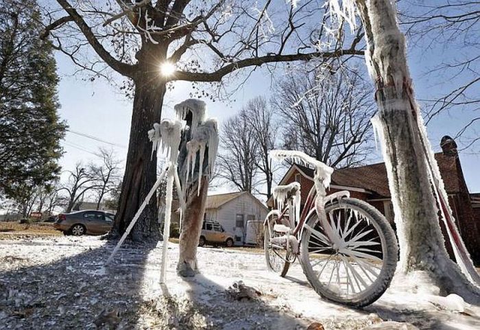 Фото приколы дня