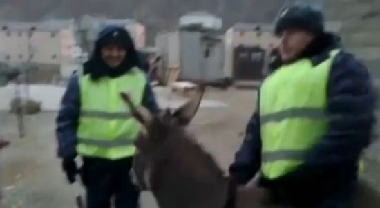 Особенности несения службы в рядах дагестанской ГАИ