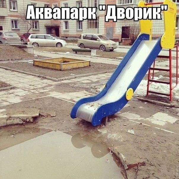 Фото приколы дня