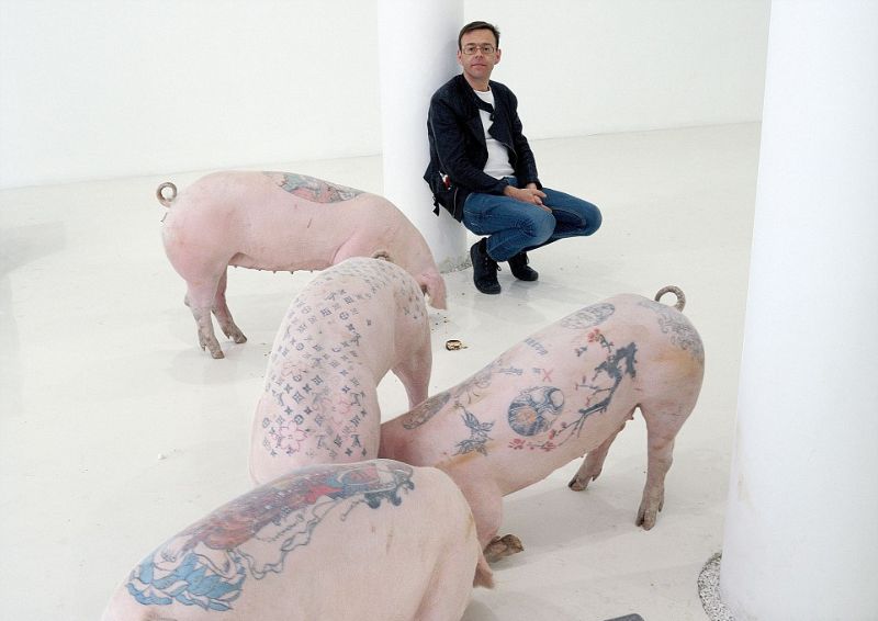 Татуированные свиньи - весьма прибыльный бизнес