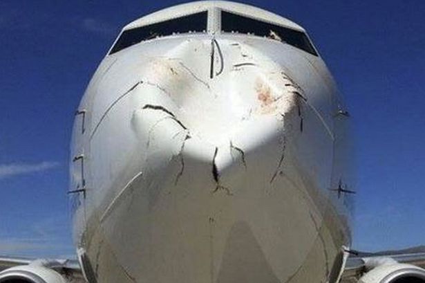 Нос самолета после столкновения с птицей
