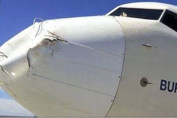 Нос самолета после столкновения с птицей