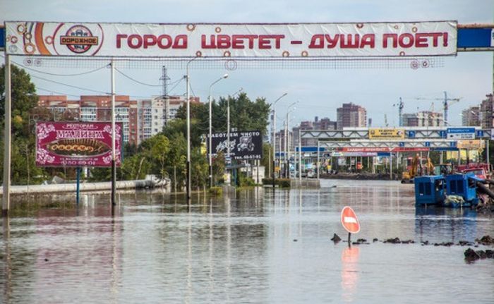 Фото приколы дня