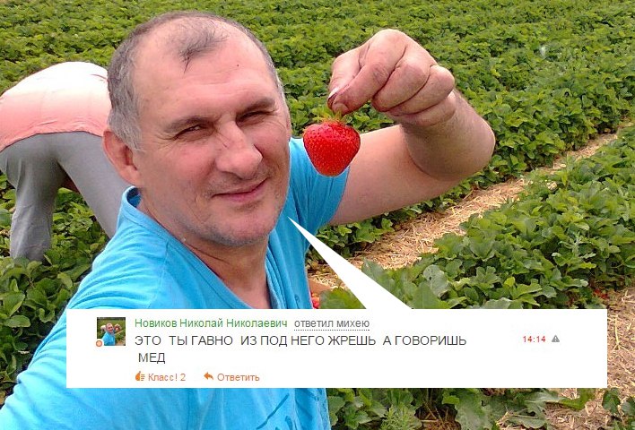 Реакция пользователей Одноклассников на низкие оценки любимых фотографий