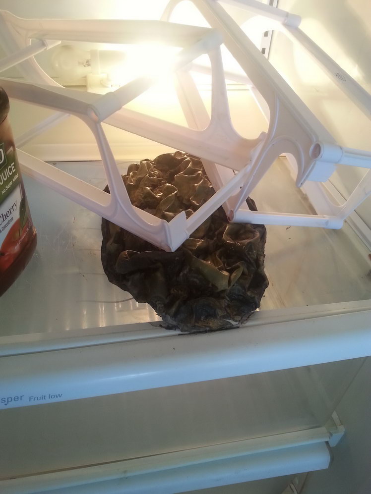 Во что превращается арбуз, пролежавший три года в холодильнике