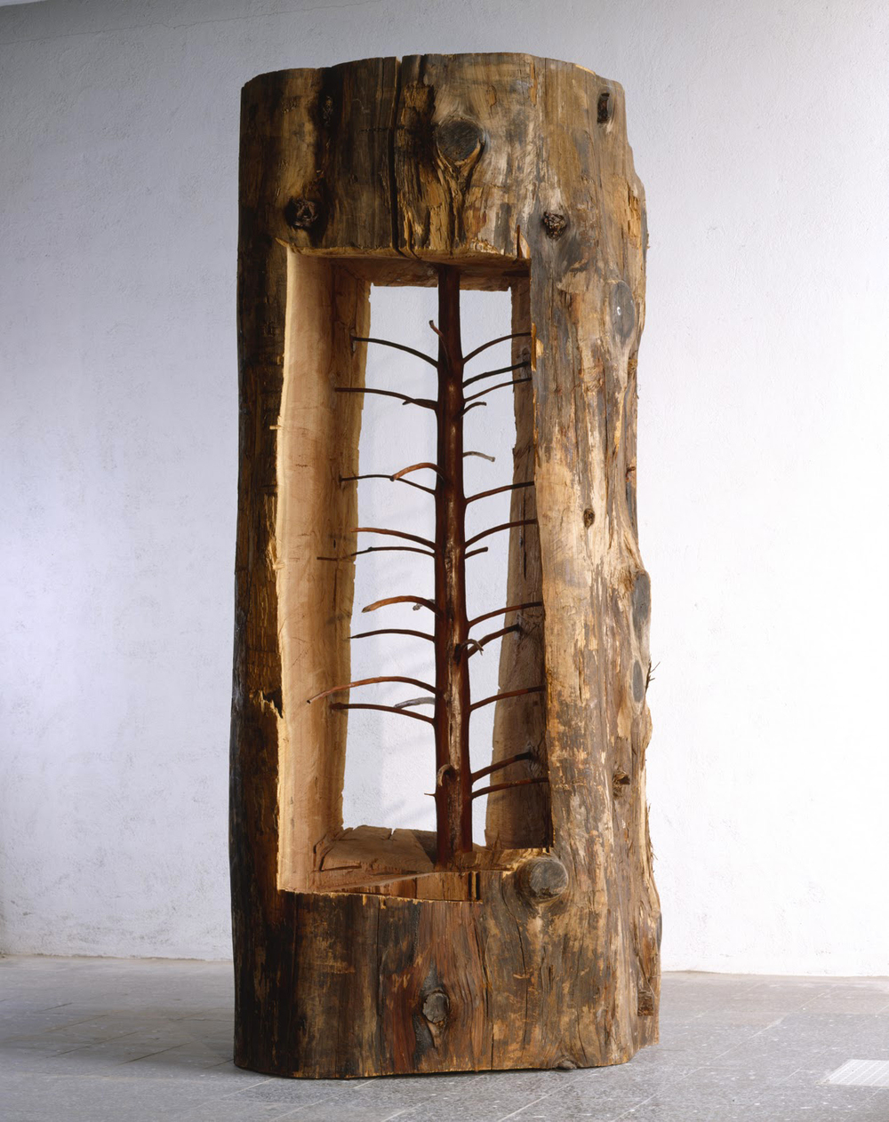 Художник Джузеппе Пеноне удалил кольца роста на дереве, чтобы открыть каким оно было молодым