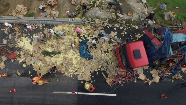 В Китае опрокинулся грузовик, перевозивший живой груз