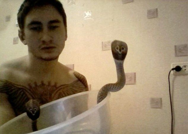 В Тольятти кобра убила хозяина во время кормления