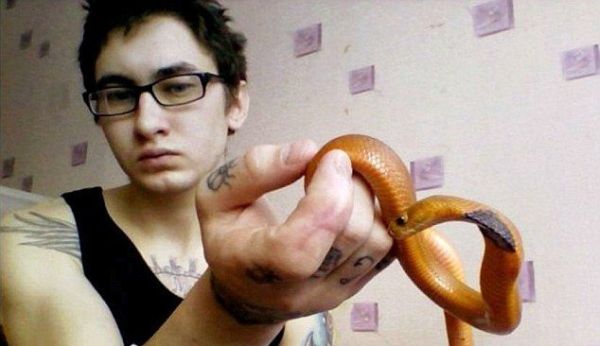 В Тольятти кобра убила хозяина во время кормления