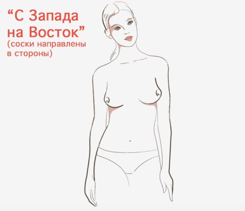 7 форм женской груди