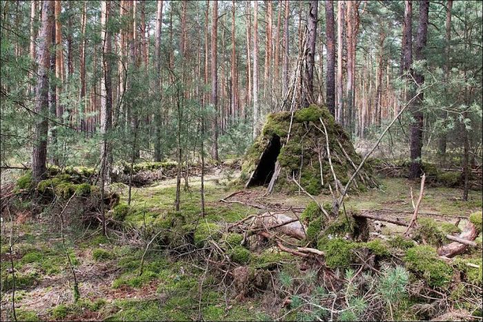 Фото приколы дня