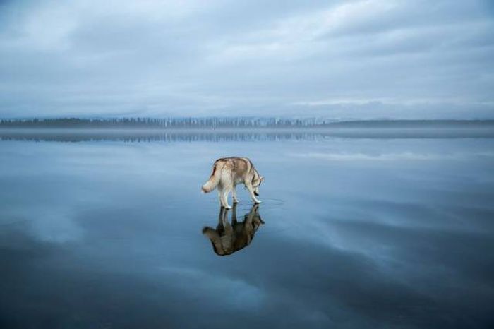 Фото приколы дня