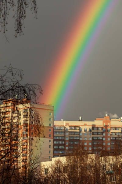 Фото приколы дня