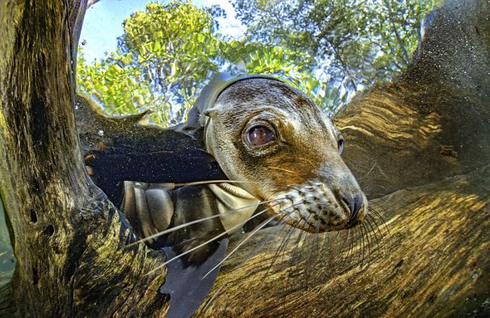 Фото приколы дня