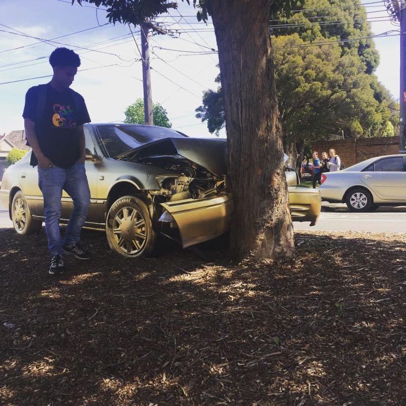 Неизвестный художник превратил разбитый о дерево авто в золотой памятник