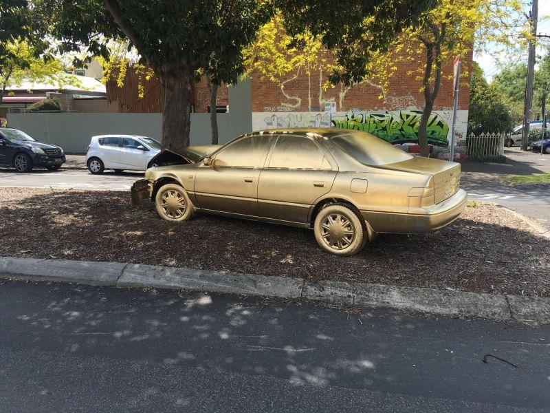 Неизвестный художник превратил разбитый о дерево авто в золотой памятник