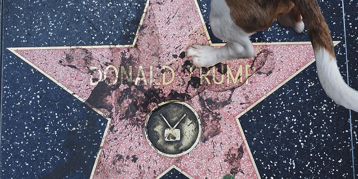 В Голливуде разрушили звезду Трампа