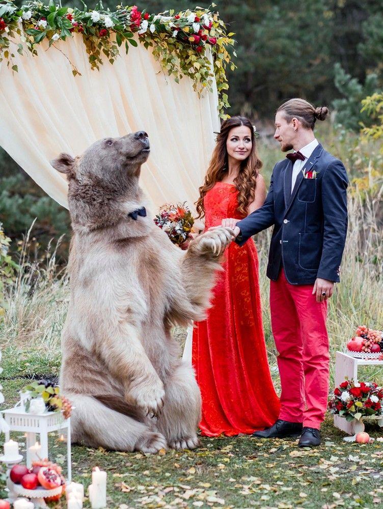 Бурый медведь Степан скрепил узы московских молодоженов