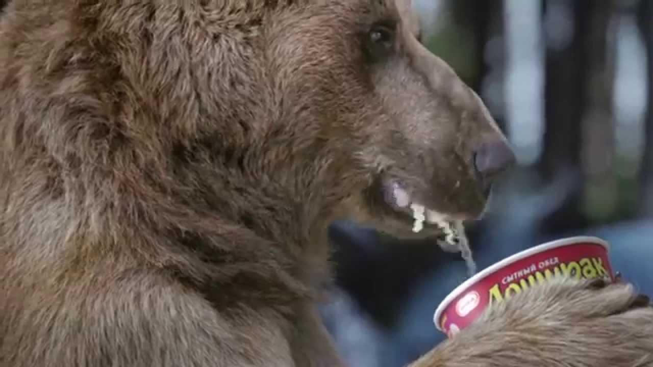 Бурый медведь Степан скрепил узы московских молодоженов