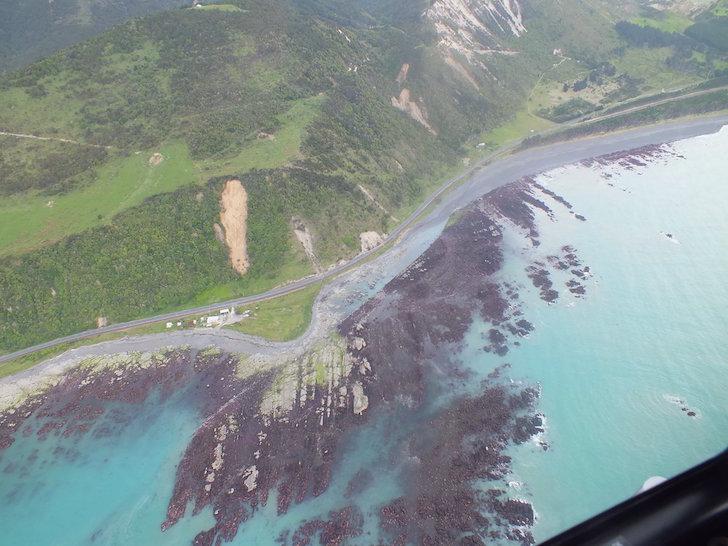 В Новой Зеландии после землетрясения поднялось дно океана